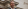 Foto: iStock. In de kijker: Dieter Keuten